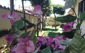 Tourist House Ostia Antica